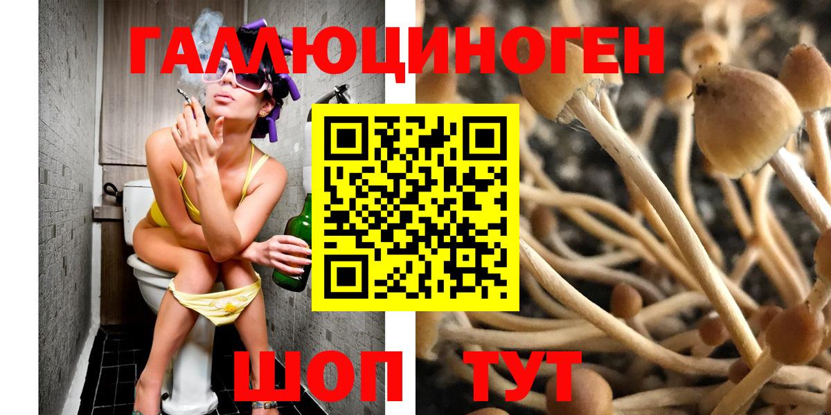 Псилоцибиновые грибы Magic Shrooms  Вход с VPN  Ярцево 
